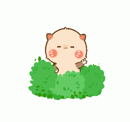 Racoon Charlie Hello Sticker Bush GIF