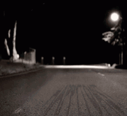 Racoon Funny Night Dancing  GIF