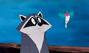 Racoon In Mulan Jaw Drop GIF