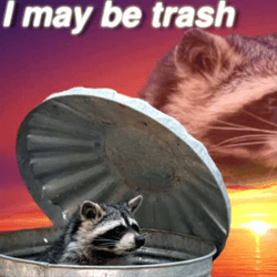 Racoon Inside Garbage Drum GIF