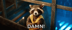 Racoon Pissed At Work GIF