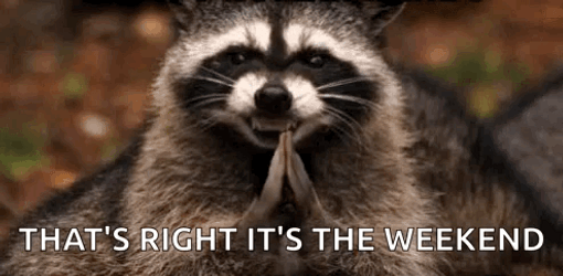 Racoon Says That's Right Its The Weekend GIF
