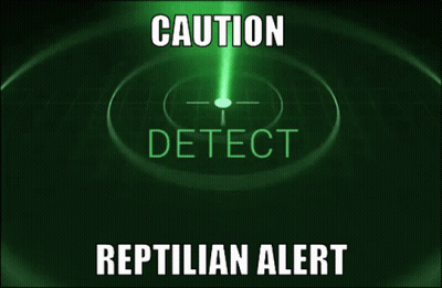 Radar Saying Caution Reptilian Alert GIF