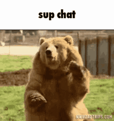Radar Screen Checking For Someone Who Cares GIF