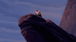 Rafiki Simba Circle Of Life  GIF