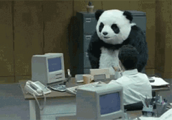 Rage Quit Panda Going Nuts In Office GIF