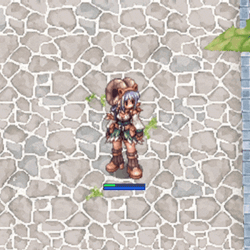 Ragnarok Online Iro GIF