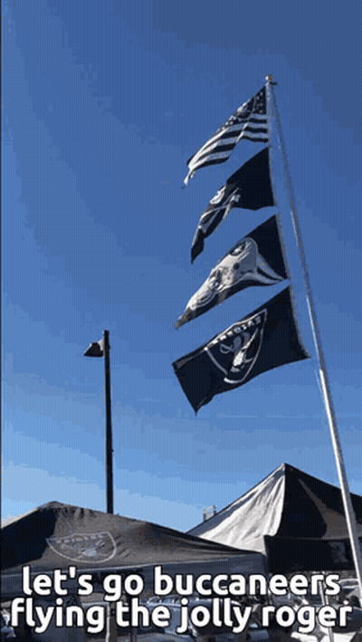 Raiders Flags Flying GIF