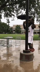 Rain Dance Mascot GIF