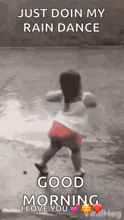 Rain GIF