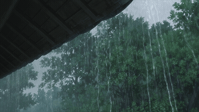Rain Is Falling From The Roof Of A Building In The Woods GIF