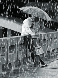 Rain Kiss Umbrella On A Bridge GIF