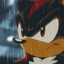 Rain Shadow The Hedgehog GIF