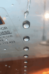 Rain Water Drip On Window GIF