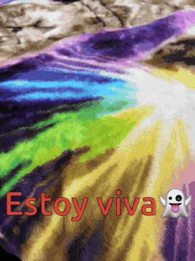 Rainbow Blanket Saying Estoy Viva GIF