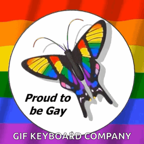 Rainbow Butterfly Proud To Be Gay GIF