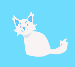 Rainbow Cat Bouncing Up And Down GIF