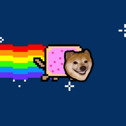 Rainbow Cat Dog Face Swap GIF