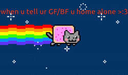 Rainbow Cat Home Alone Journey GIF