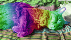 Rainbow Cat Snoozing Soundly GIF