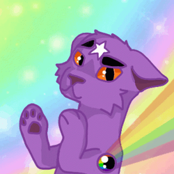 Rainbow Cat Star Bindi Forehead GIF
