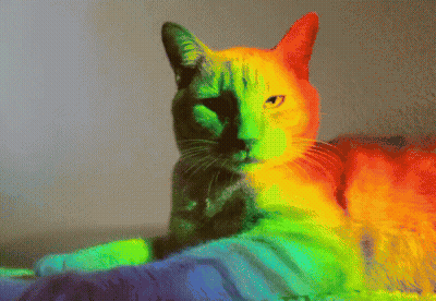 Rainbow Colored Cat Laying On Blanket GIF