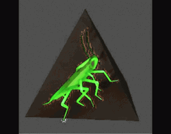 Rainbow Dancing Cockroach GIF