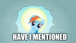 Rainbow Dash Have I Mentioned GIF
