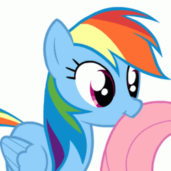 Rainbow Dash Nom Nom Nom Friends GIF