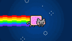 Rainbow El Gato Meme GIF