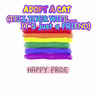 Rainbow Flag Adopt Cat It's Friend Happy Pride GIF