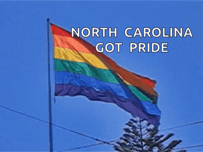 Rainbow Flag Saying North Carolina Got Pride GIF