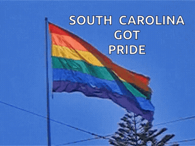 Rainbow Flag South Carolina Got Pride GIF