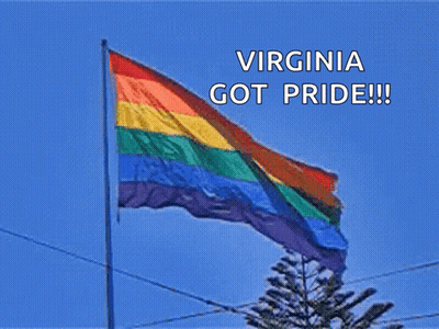 Rainbow Flag Virginia Got Pride GIF