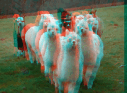 Rainbow Glitch Alpacas GIF