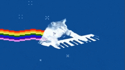 Rainbow Keyboard Cat Playing Music GIF
