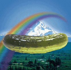 Rainbow Large Pickle