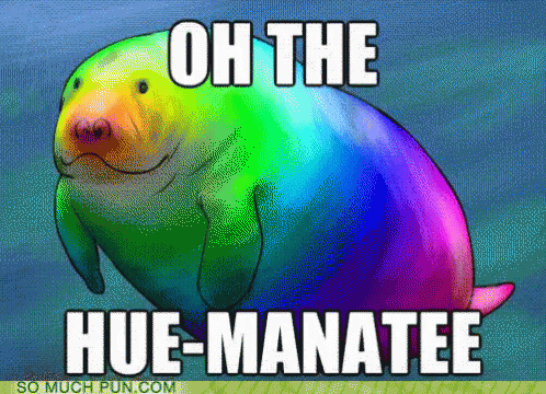 Rainbow Manatee Oh The Hue-Manatee GIF