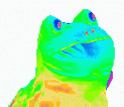 Rainbow Pepe The Frog Dancing  GIF