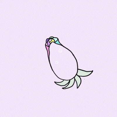 Rainbow Rose With Bubbles GIF