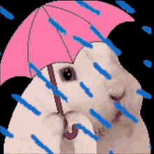 Raining Cute Sad Bunny Pink Umbrella  GIF