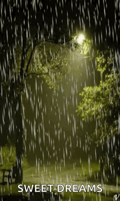 Raining Night Park With Trees And Street Light GIF