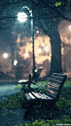 Raining On Bench GIF