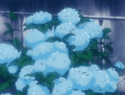 Raining On Blue Anime Flower GIF