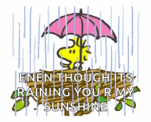 Raining Thoughts You're My Sunshine Woodstock GIF