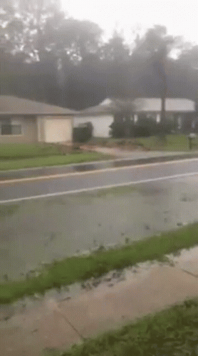 Rainy Day House With Puddle On Sidewalk GIF