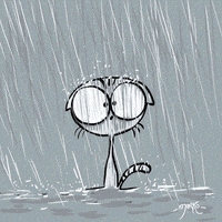 Rainy Day Lonely Little Cat  GIF