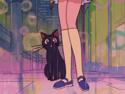 Rainy Friday Sailor Moon And Luna GIF