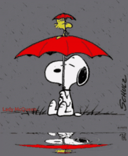 Rainy Friday Snoopy And Woodstock GIF