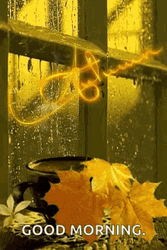 Rainy Good Morning In Autumn GIF